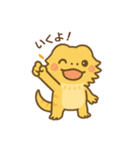 フトアゴヒゲトカゲの日常.⭐︎（個別スタンプ：20）