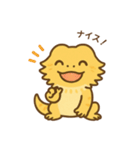 フトアゴヒゲトカゲの日常.⭐︎（個別スタンプ：24）