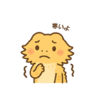 フトアゴヒゲトカゲの日常.⭐︎（個別スタンプ：32）