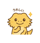 フトアゴヒゲトカゲの日常.⭐︎（個別スタンプ：34）