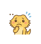 フトアゴヒゲトカゲの日常.⭐︎（個別スタンプ：36）