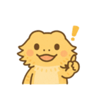 フトアゴヒゲトカゲの日常.⭐︎（個別スタンプ：39）