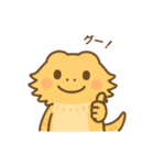 フトアゴヒゲトカゲの日常.⭐︎（個別スタンプ：40）