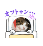 秋刀魚(豆大福)（個別スタンプ：3）