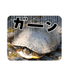 秋刀魚(豆大福)（個別スタンプ：7）