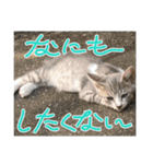 秋刀魚(豆大福)（個別スタンプ：8）