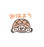 リクガメのわかめもずく（個別スタンプ：1）