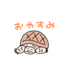 リクガメのわかめもずく（個別スタンプ：2）