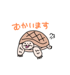 リクガメのわかめもずく（個別スタンプ：5）