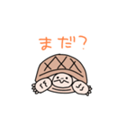 リクガメのわかめもずく（個別スタンプ：6）