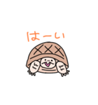 リクガメのわかめもずく（個別スタンプ：11）