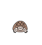 リクガメのわかめもずく（個別スタンプ：13）