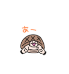 リクガメのわかめもずく（個別スタンプ：14）