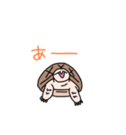 リクガメのわかめもずく（個別スタンプ：15）