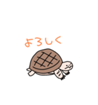 リクガメのわかめもずく（個別スタンプ：16）