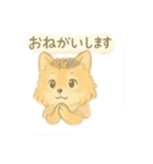 ふわふわわんこさんのスタンプ（個別スタンプ：7）