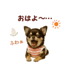 【AI】ふわふわチワワ（個別スタンプ：1）