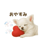 【AI】ふわふわチワワ（個別スタンプ：4）
