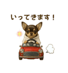 【AI】ふわふわチワワ（個別スタンプ：8）