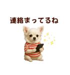 【AI】ふわふわチワワ（個別スタンプ：10）
