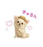 【AI】ふわふわチワワ（個別スタンプ：15）