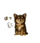 【AI】ふわふわチワワ（個別スタンプ：16）