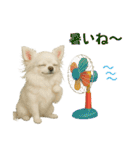 【AI】ふわふわチワワ（個別スタンプ：18）