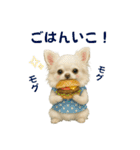 【AI】ふわふわチワワ（個別スタンプ：26）