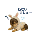 【AI】ふわふわチワワ（個別スタンプ：38）