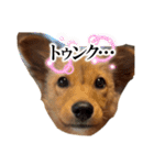 クルミシャン2（個別スタンプ：18）