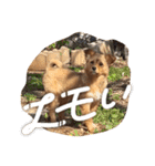 クルミシャン2（個別スタンプ：20）