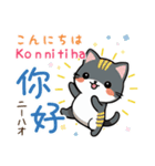 可愛い猫ちゃん（台湾中国語×日本語）（個別スタンプ：2）