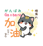 可愛い猫ちゃん（台湾中国語×日本語）（個別スタンプ：8）