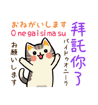 可愛い猫ちゃん（台湾中国語×日本語）（個別スタンプ：11）