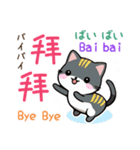 可愛い猫ちゃん（台湾中国語×日本語）（個別スタンプ：19）