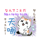可愛い猫ちゃん（台湾中国語×日本語）（個別スタンプ：23）