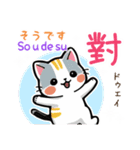 可愛い猫ちゃん（台湾中国語×日本語）（個別スタンプ：31）