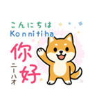 可愛い柴犬（台湾中国語×日本語）（個別スタンプ：1）