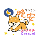 可愛い柴犬（台湾中国語×日本語）（個別スタンプ：3）