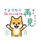 可愛い柴犬（台湾中国語×日本語）（個別スタンプ：4）