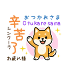 可愛い柴犬（台湾中国語×日本語）（個別スタンプ：5）