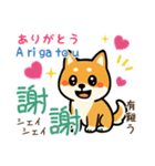 可愛い柴犬（台湾中国語×日本語）（個別スタンプ：6）