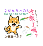 可愛い柴犬（台湾中国語×日本語）（個別スタンプ：7）