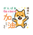 可愛い柴犬（台湾中国語×日本語）（個別スタンプ：8）