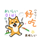 可愛い柴犬（台湾中国語×日本語）（個別スタンプ：9）