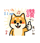 可愛い柴犬（台湾中国語×日本語）（個別スタンプ：10）