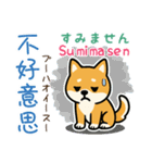 可愛い柴犬（台湾中国語×日本語）（個別スタンプ：12）