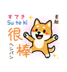 可愛い柴犬（台湾中国語×日本語）（個別スタンプ：13）