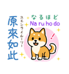 可愛い柴犬（台湾中国語×日本語）（個別スタンプ：16）