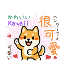 可愛い柴犬（台湾中国語×日本語）（個別スタンプ：20）